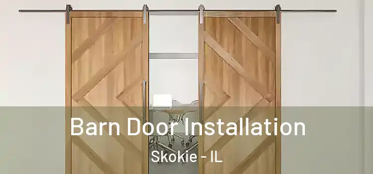 Barn Door Installation Skokie - IL