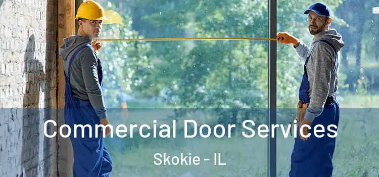 Commercial Door Services Skokie - IL