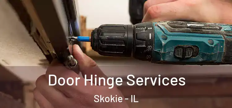 Door Hinge Services Skokie - IL
