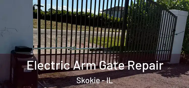 Electric Arm Gate Repair Skokie - IL