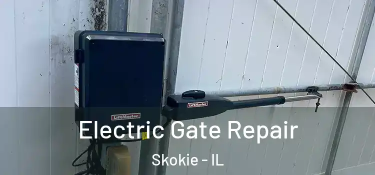 Electric Gate Repair Skokie - IL