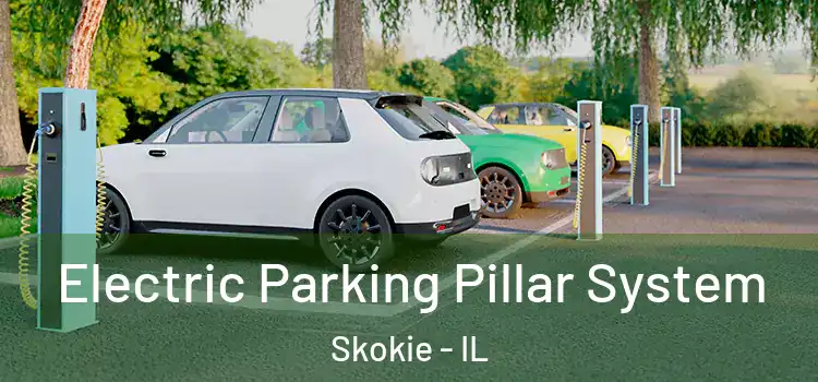 Electric Parking Pillar System Skokie - IL