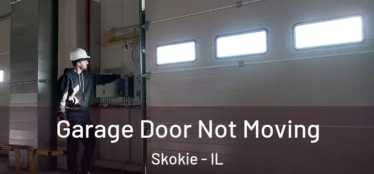  Garage Door Not Moving Skokie - IL
