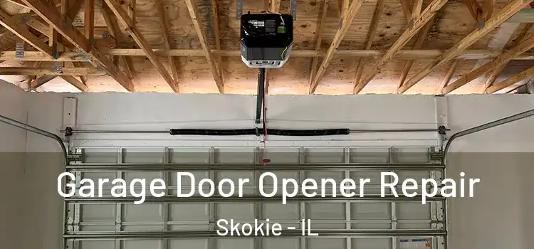  Garage Door Opener Repair Skokie - IL