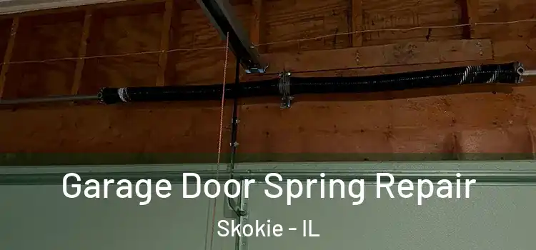  Garage Door Spring Repair Skokie - IL