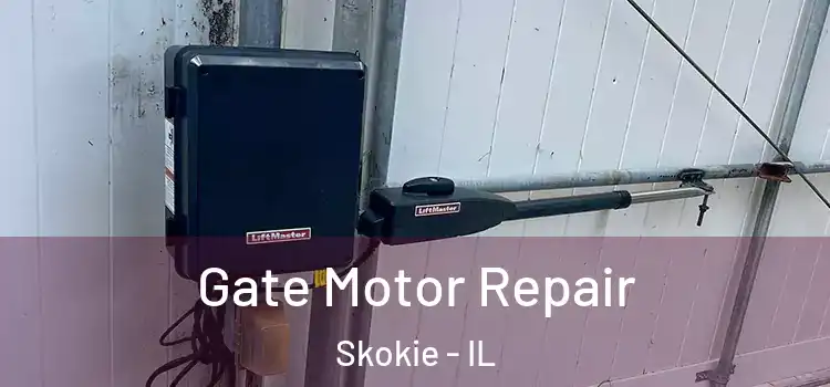 Gate Motor Repair Skokie - IL