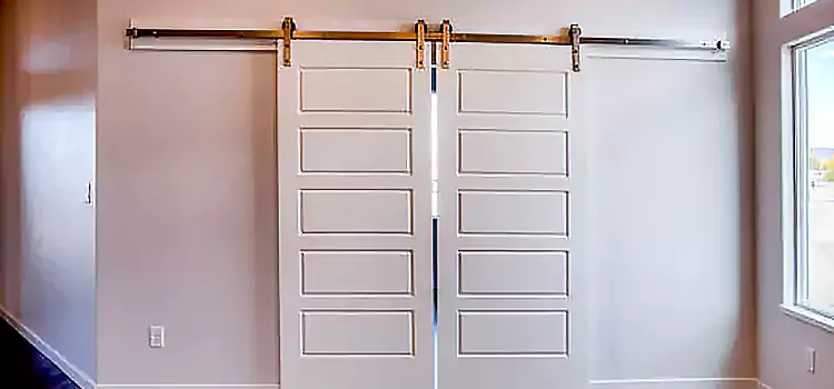 Glass Barn Door with Installation Hardware Kit Skokie