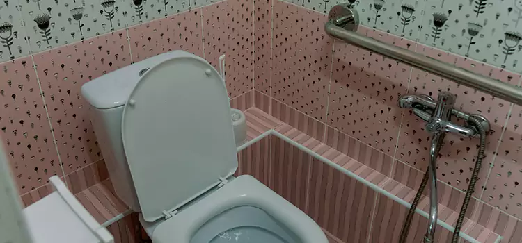 Meeting Diverse Needs With Accessible Restroom Solutions in Skokie, IL