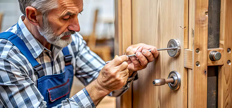 Mortise Replacement Lock Skokie