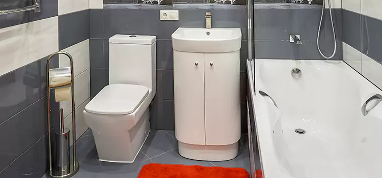 Hansgrohe Shaving Mirror Skokie