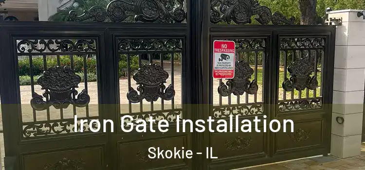 Iron Gate Installation Skokie - IL