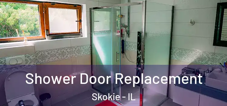 Shower Door Replacement Skokie - IL