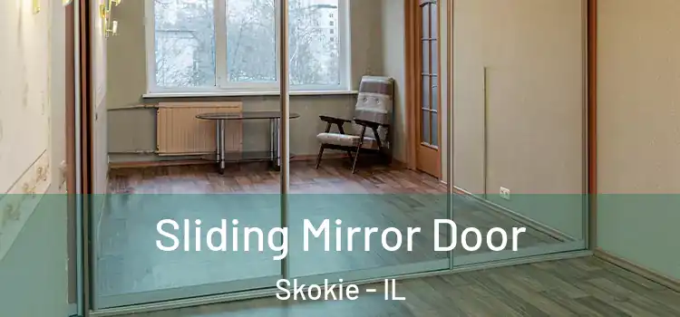  Sliding Mirror Door Skokie - IL